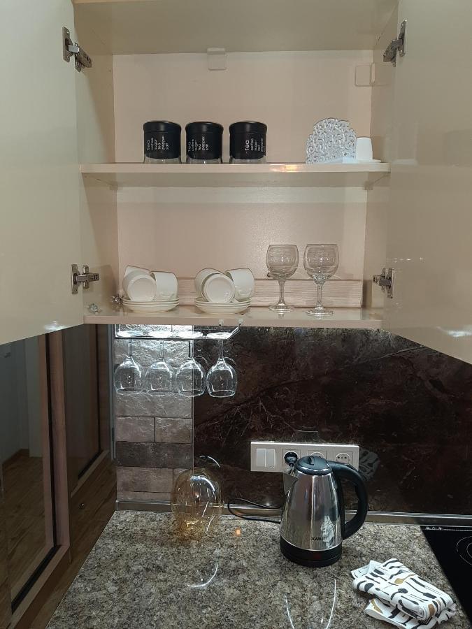 فندق New Gudauri Loft1 المظهر الخارجي الصورة